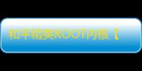 和平精英ROOT内核【Rain】盒平内核-外挂